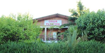 Cesur Pansiyon